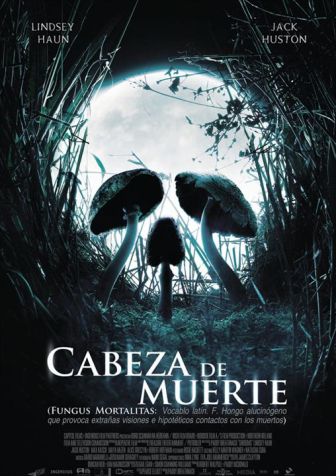 imagen: Cabeza de muerte