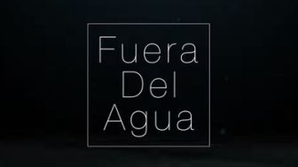 imagen: Fuera del agua