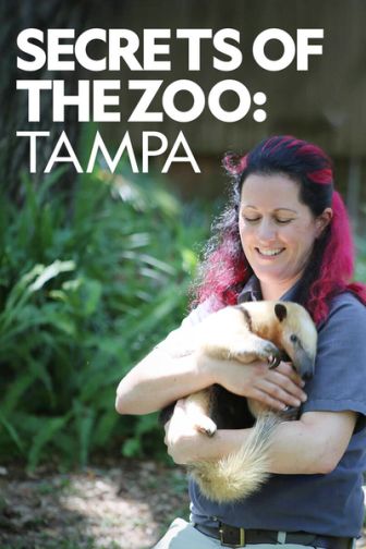 imagen: Los secretos del zoo: Tampa