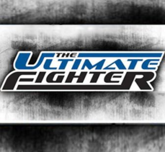 imagen: The ultimate fighter